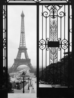 Torre Eiffel desde el Palacio de Trocadero, París - 3AP3256