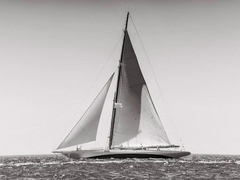 Velero clásico de regata - 3AP3307