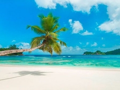 Playa tropical, Seychelles - 3AP3308