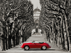 Roadster in tree lined road, Paris - 3AP4864