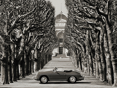 Roadster in tree lined road, Paris (BW) - 3AP4865