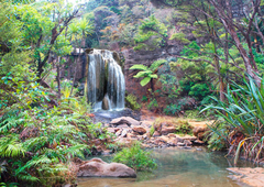 PANGEA IMAGES - Cascada de la selva tropical (detail) - 3AP5604