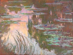 CLAUDE MONET - Water-Lilies, Setting Sun - 3CM2669