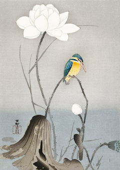 OHARA KOSON - Kingfisher with Lotus Flower - 3JP5684