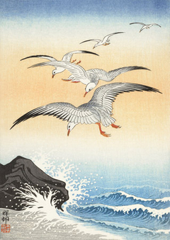 OHARA KOSON - Five seagulls above turbulent sea - 3JP5685