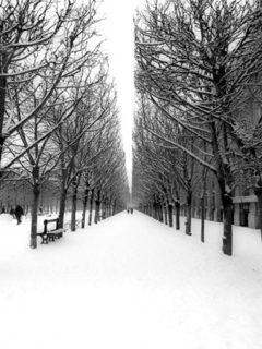 MICHEL SETBOUN - The Tuileries Garden under the snow, Paris - 3MS3287