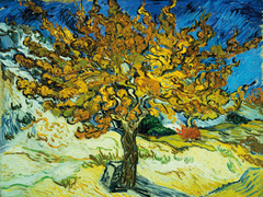 Van Gogh - Morera - 3VG053