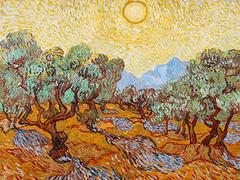 Van Gogh - Olivos - 3VG056