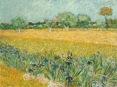 Van Gogh - Campo con lirios cerca de Arles - 3VG114