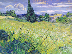 Van Gogh - Paisaje con maíz verde - 3VG1430