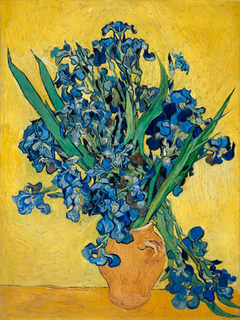 Van Gogh - Irises I - 3VG1434