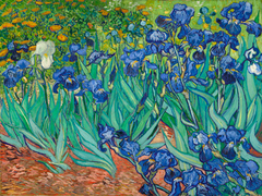 Van Gogh - Irises II - 3VG1436