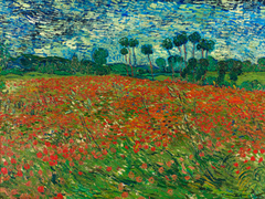 Van Gogh - Poppy field - 3VG1539