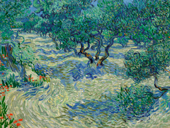 Van Gogh - Olive Orchard - 3VG1542