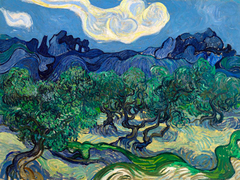 Van Gogh - The Olive Trees - 3VG1545