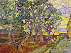 Van Gogh - Jardín del Hospital de San Pablo - 3VG2180