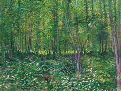 Van Gogh - Trees and undergrowth - 3VG2674