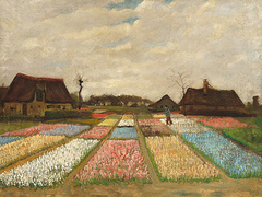 Van Gogh - Flower Beds in Holland - 3VG4358 - comprar online