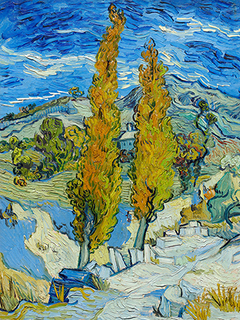 Van Gogh - Álamos en Saint-Rémy - 3VG5027