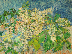 Van Gogh - Blossoming Chestnut Branch - 3VG5109