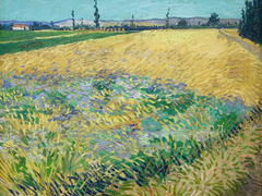 Van Gogh - Campo de trigo - 3VG558