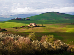 VADIM RATSENSKY - Tuscan Countryside - 3VR1722