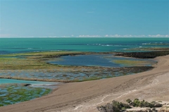 Peninsula Valdés, Chubut