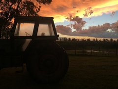 Tractor al atardecer, Buenos Aires