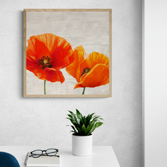 JENNY THOMLINSON - Bright Poppies I - 1JT4927 - comprar online