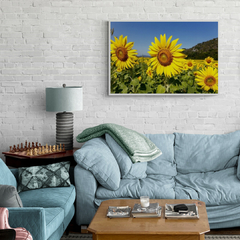 Campo de girasoles II - comprar online