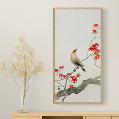 Japanese Jay on Maple - 2JP5692 - comprar online