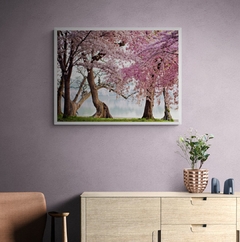 Cherry treesbloom, Washington, USA - 3AP3676 - comprar online