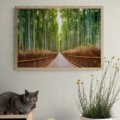 PANGEA IMAGES - Bamboo Forest, Kyoto, Japan - 3AP3678 - comprar online