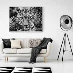 Leopardo joven - 3AP2046 - comprar online