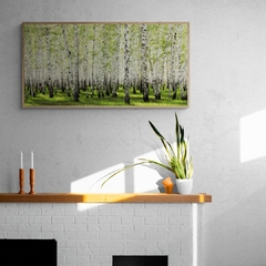 Birch forest in spring - 2AP3302 - comprar online