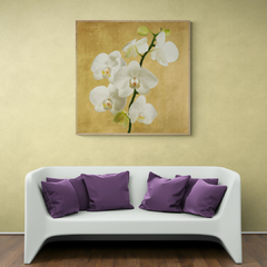 ANDREA ANTINORI - Orchids on a Golden Background II - 1AT5751 - comprar online