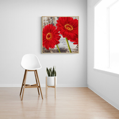 JENNY THOMLINSON - Red Gerberas I - 1JT1451 - comprar online