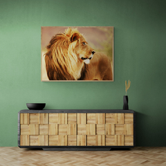 Pangea Images - Male lion, Namibia - 3AP48821 - comprar online