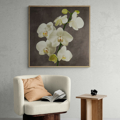 ANDREA ANTINORI - Orchids on Grey Background II - 1AT5753