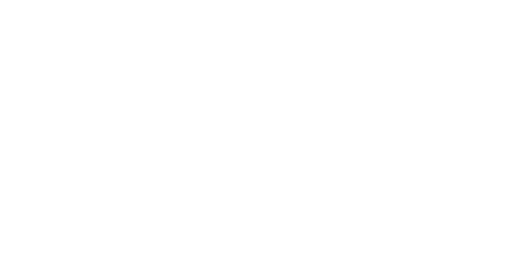 Insanas e Santas Shoes