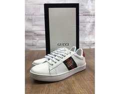 Sapatênis Gucci - Tigre - 5TRDFC7 - comprar online