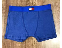 Cueca Boxer Tommy Hilfiger - FGC21