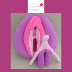 Vulva Didática (Roxo) - comprar online