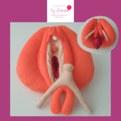 Vulva Didática (Laranja) - comprar online