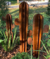 Cactus De hierro - comprar online