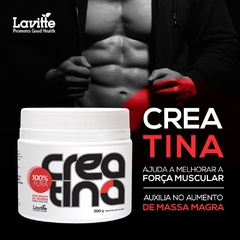 CREATINA (200G) LAVITTE na internet