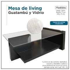 Mesa de living - Guatambu y vidrio