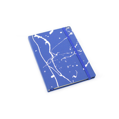 Caderneta Azul na internet