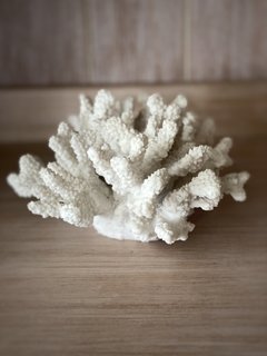 Coral | Línea Mar