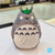 Busto 3D Totoro en internet